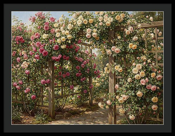 Rose Arbor In Bloom