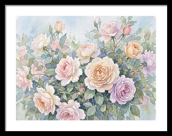 Rose Garden Blooms