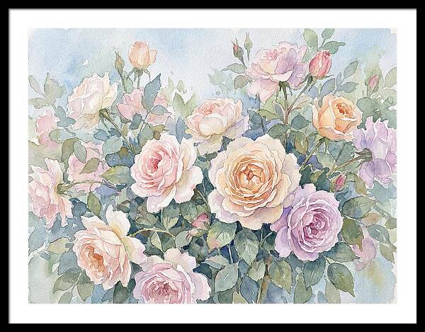 Rose Garden Blooms