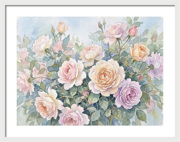Rose Garden Blooms