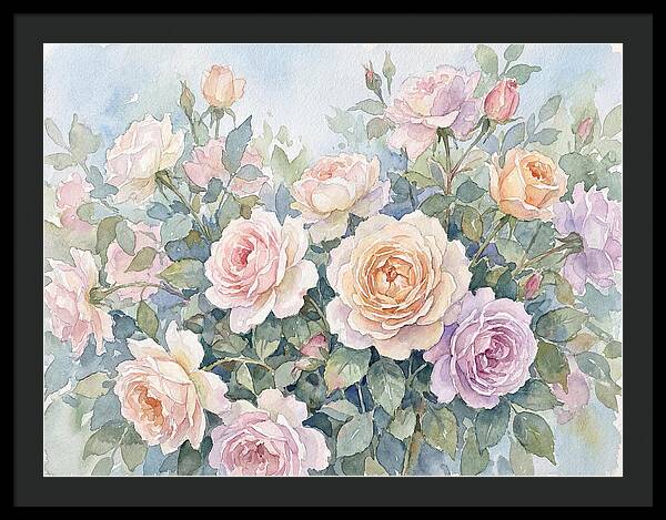 Rose Garden Blooms