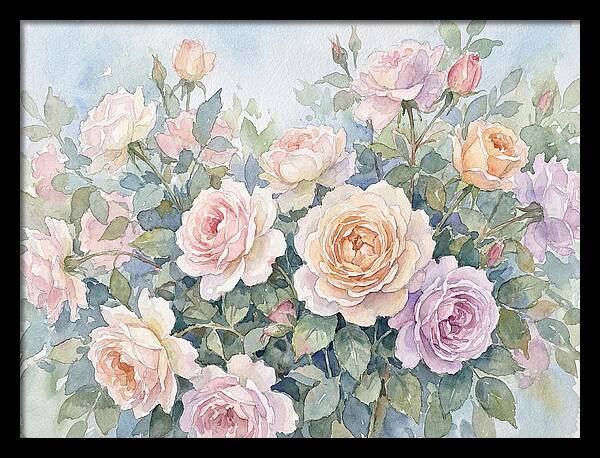 Rose Garden Blooms