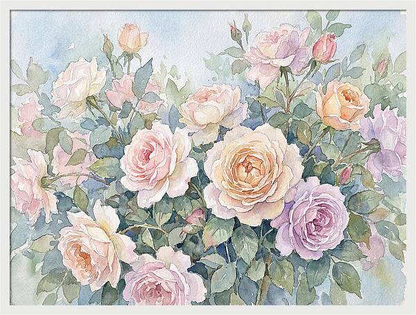 Rose Garden Blooms