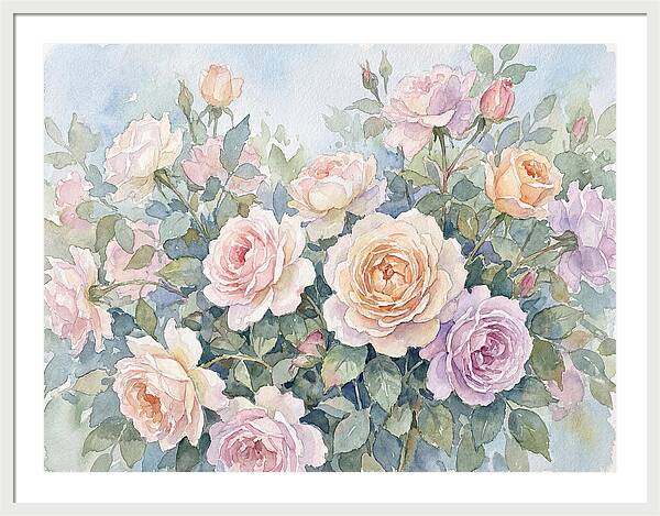 Rose Garden Blooms