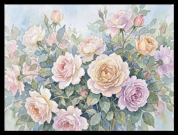 Rose Garden Blooms