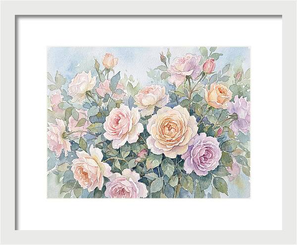 Rose Garden Blooms