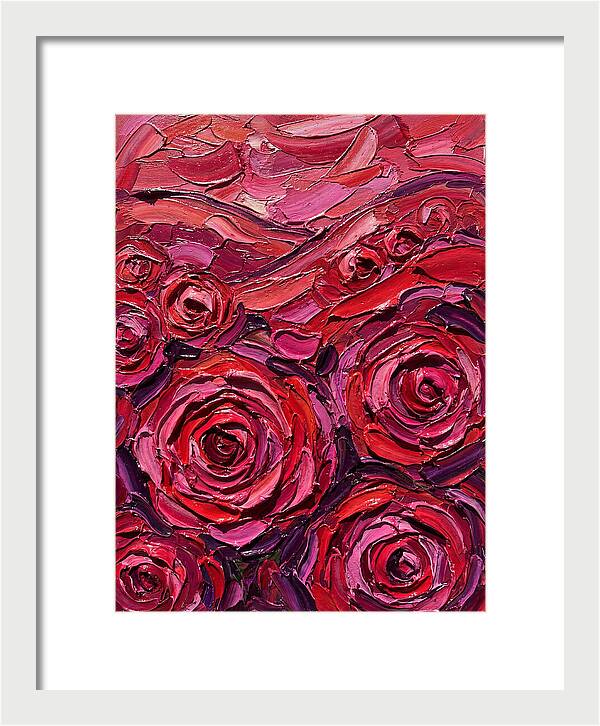 Rose Garden In Bloom