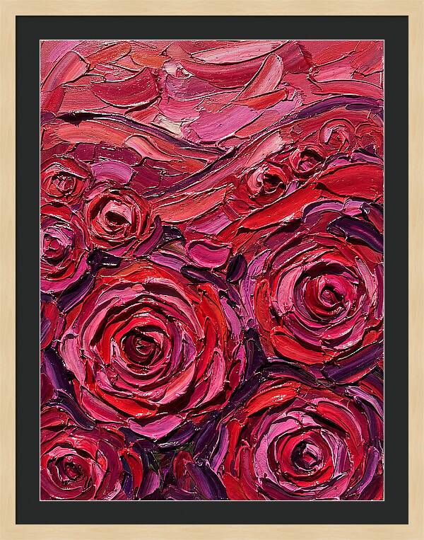 Rose Garden In Bloom