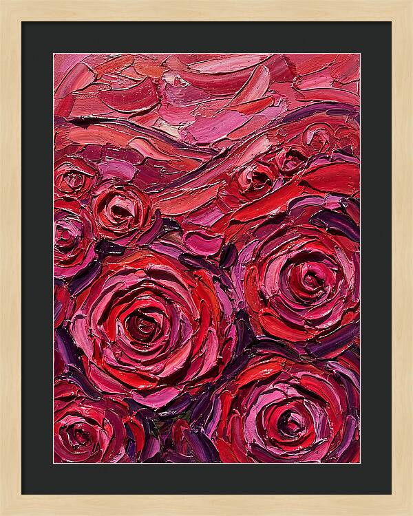 Rose Garden In Bloom