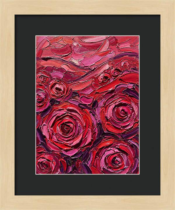 Rose Garden In Bloom