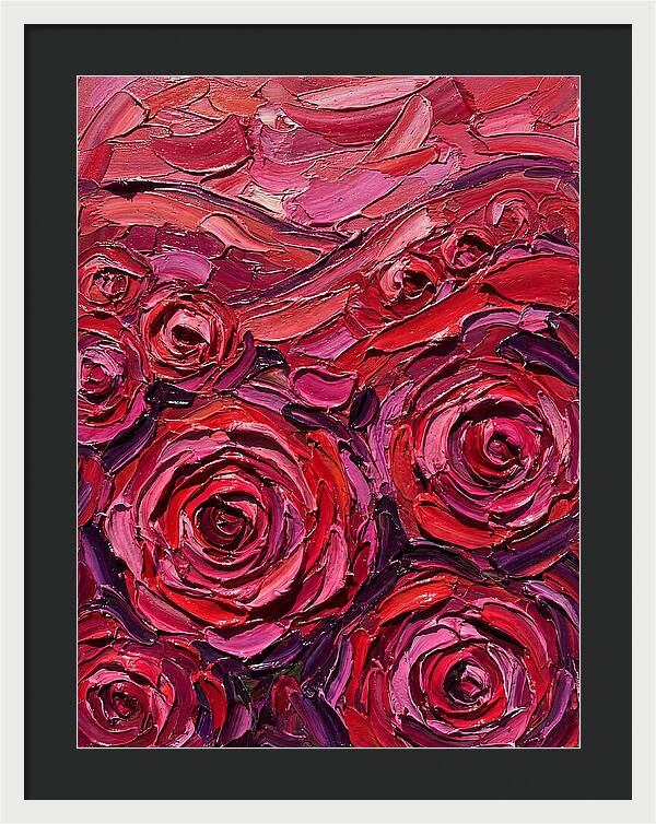 Rose Garden In Bloom