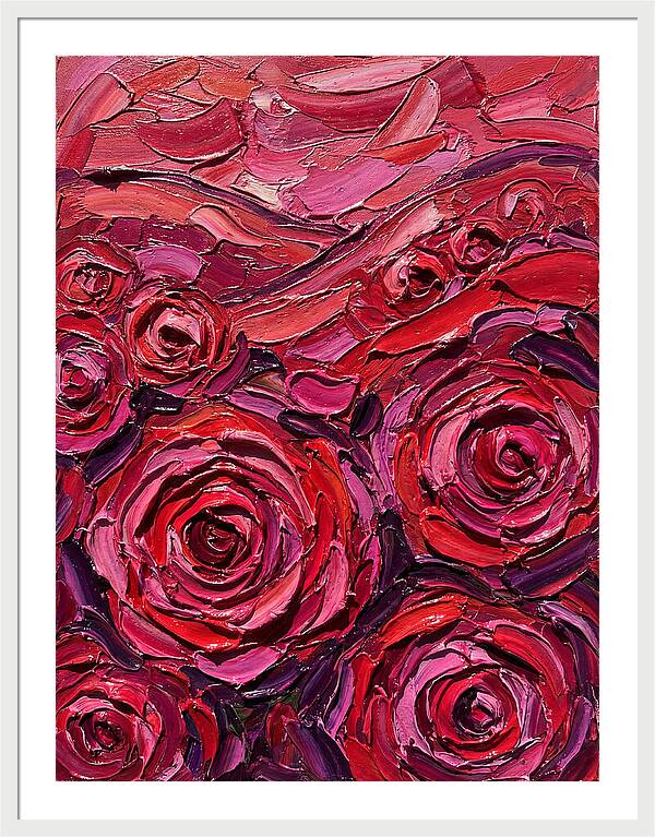 Rose Garden In Bloom