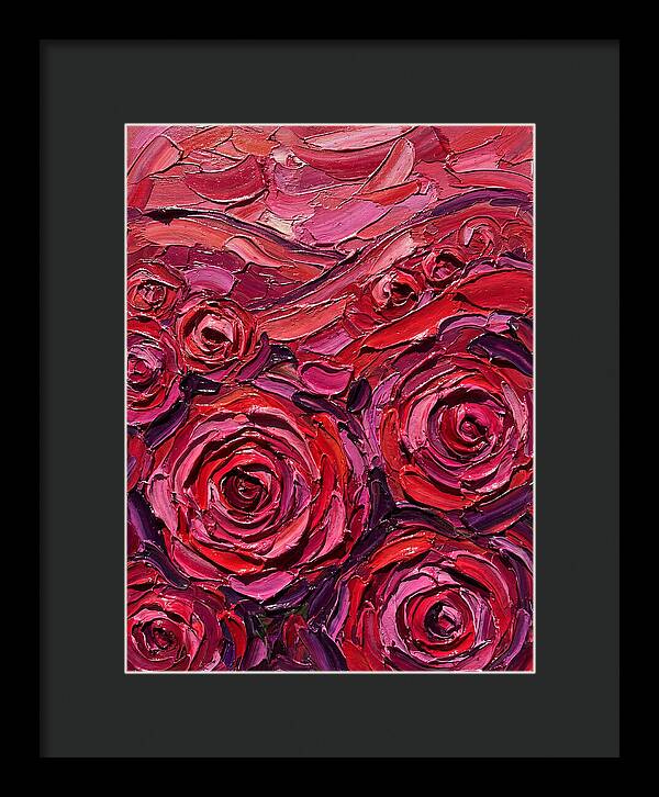 Rose Garden In Bloom