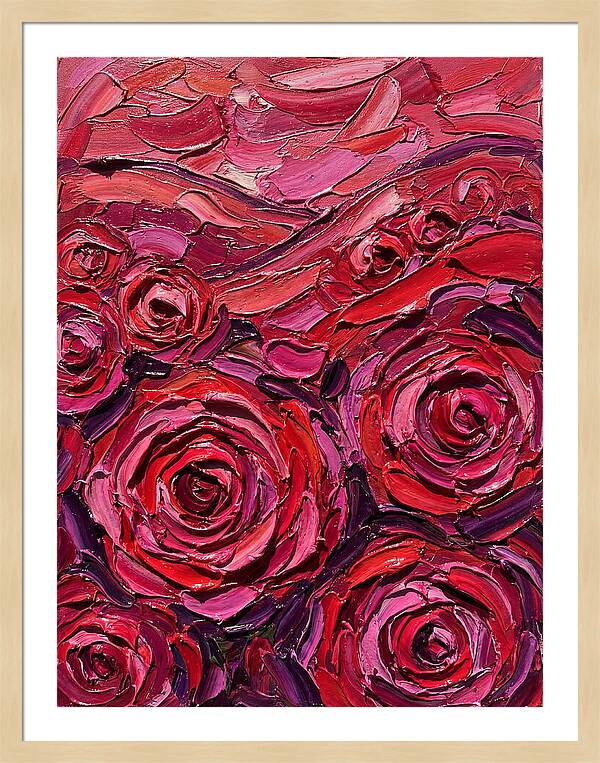 Rose Garden In Bloom