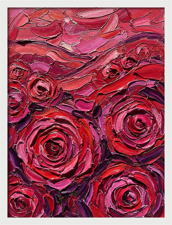 Rose Garden In Bloom