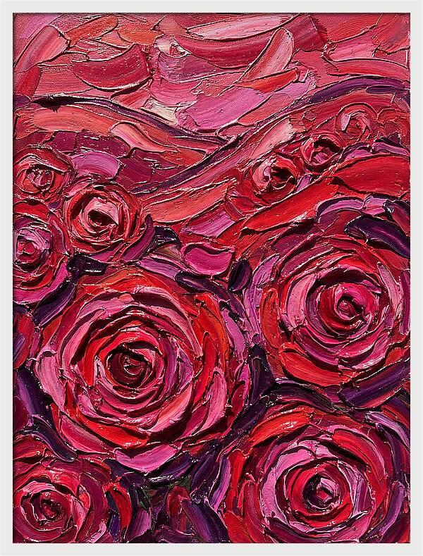 Rose Garden In Bloom