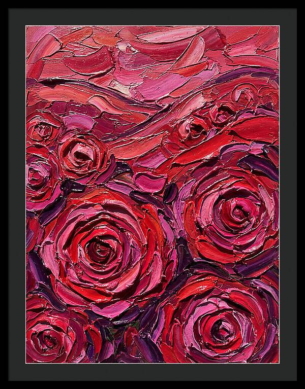 Rose Garden In Bloom