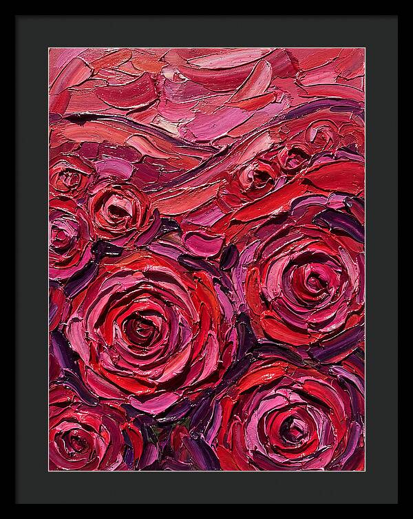 Rose Garden In Bloom