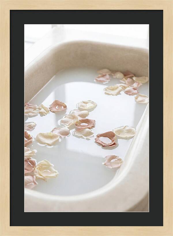 Rose Petals Floating In Serenity