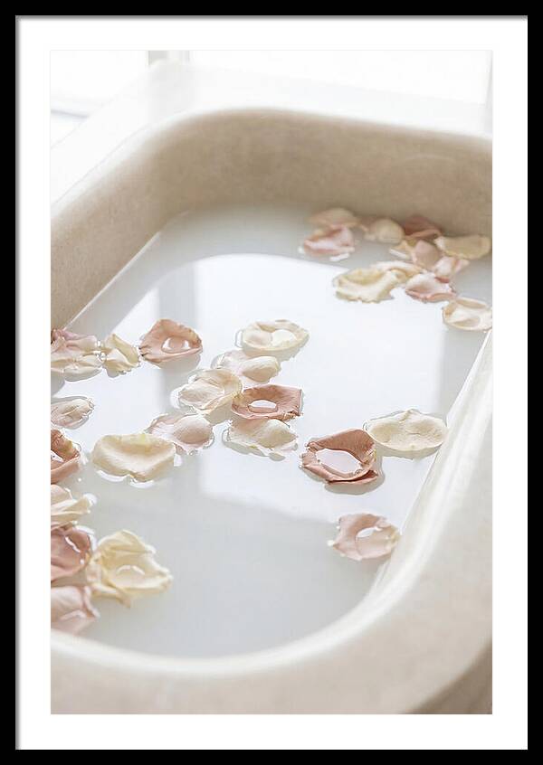 Rose Petals Floating In Serenity
