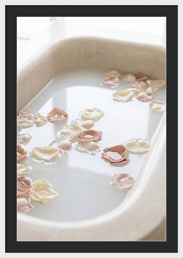 Rose Petals Floating In Serenity