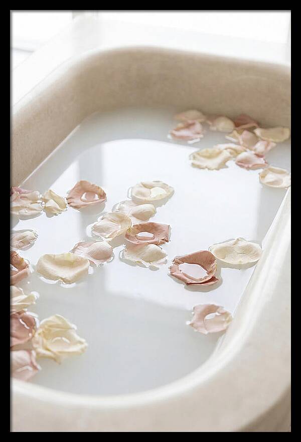 Rose Petals Floating In Serenity