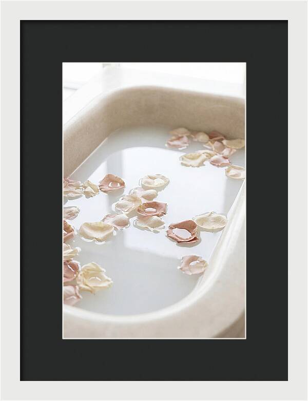 Rose Petals Floating In Serenity