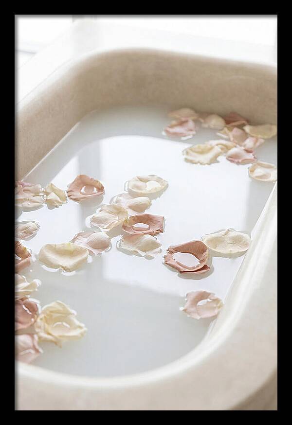 Rose Petals Floating In Serenity