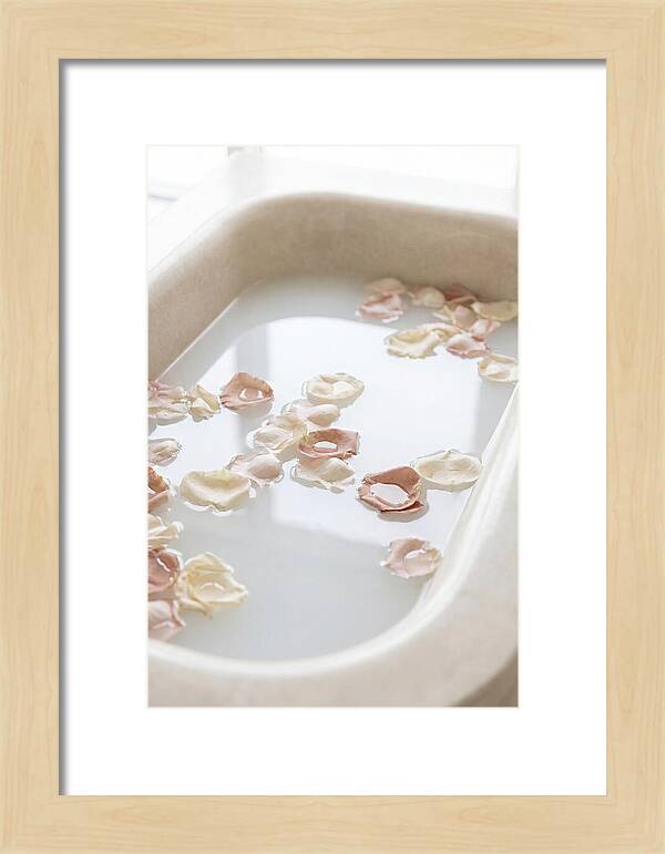 Rose Petals Floating In Serenity