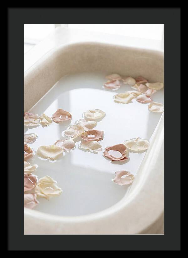 Rose Petals Floating In Serenity
