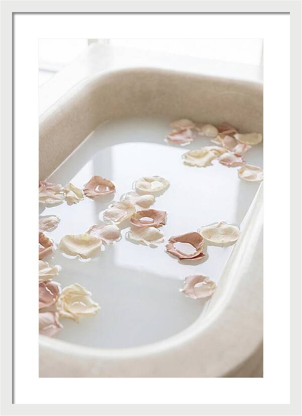 Rose Petals Floating In Serenity