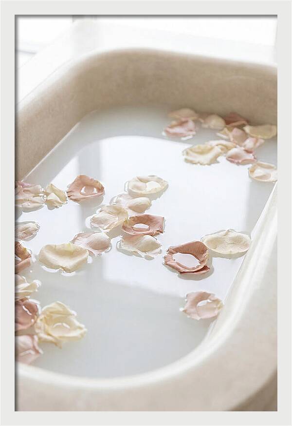 Rose Petals Floating In Serenity