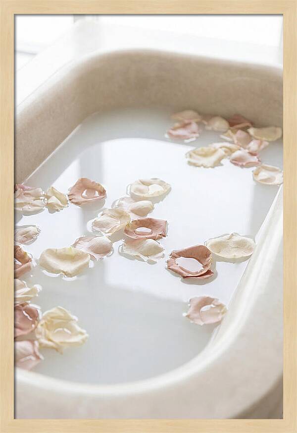 Rose Petals Floating In Serenity