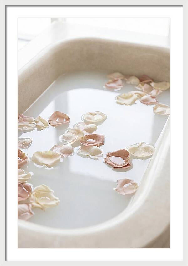 Rose Petals Floating In Serenity
