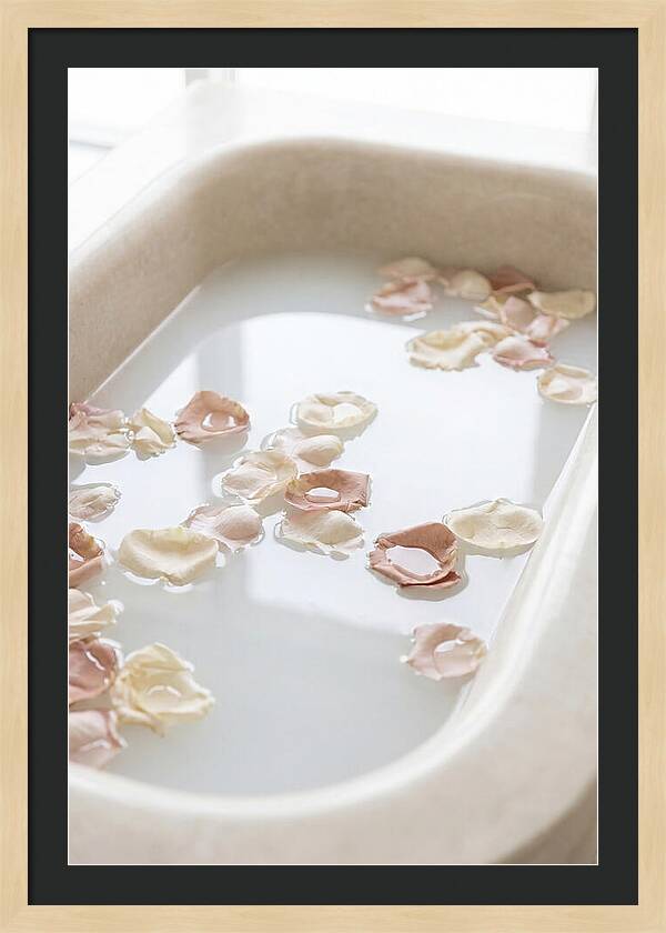 Rose Petals Floating In Serenity