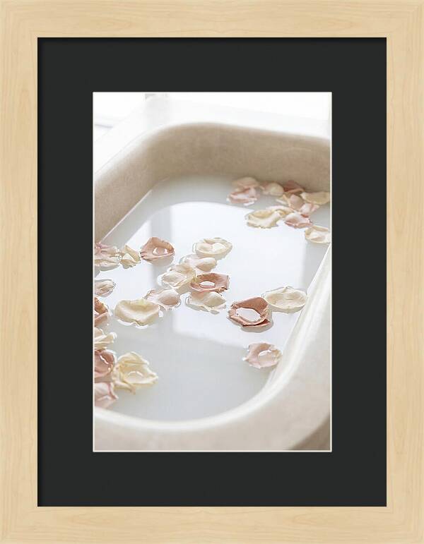 Rose Petals Floating In Serenity