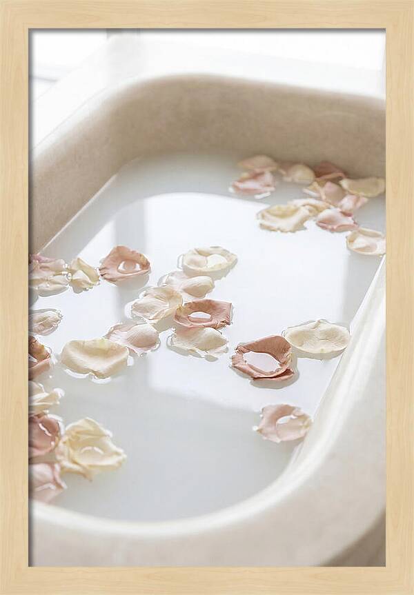 Rose Petals Floating In Serenity