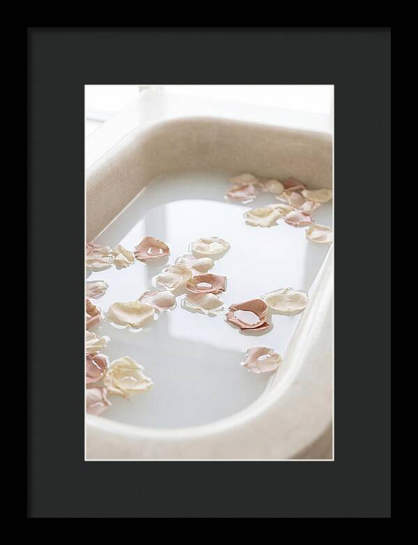 Rose Petals Floating In Serenity