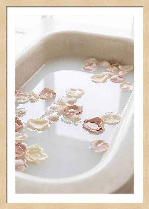 Rose Petals Floating In Serenity