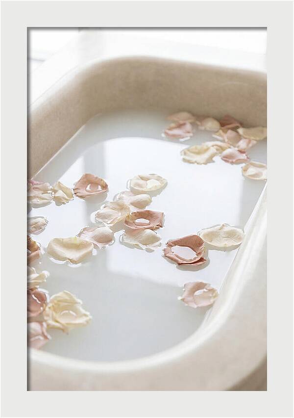 Rose Petals Floating In Serenity