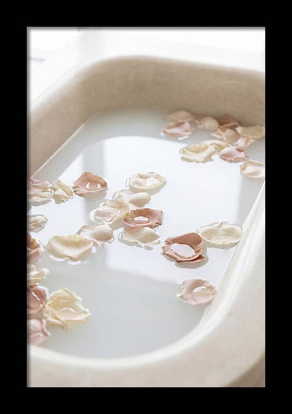 Rose Petals Floating In Serenity
