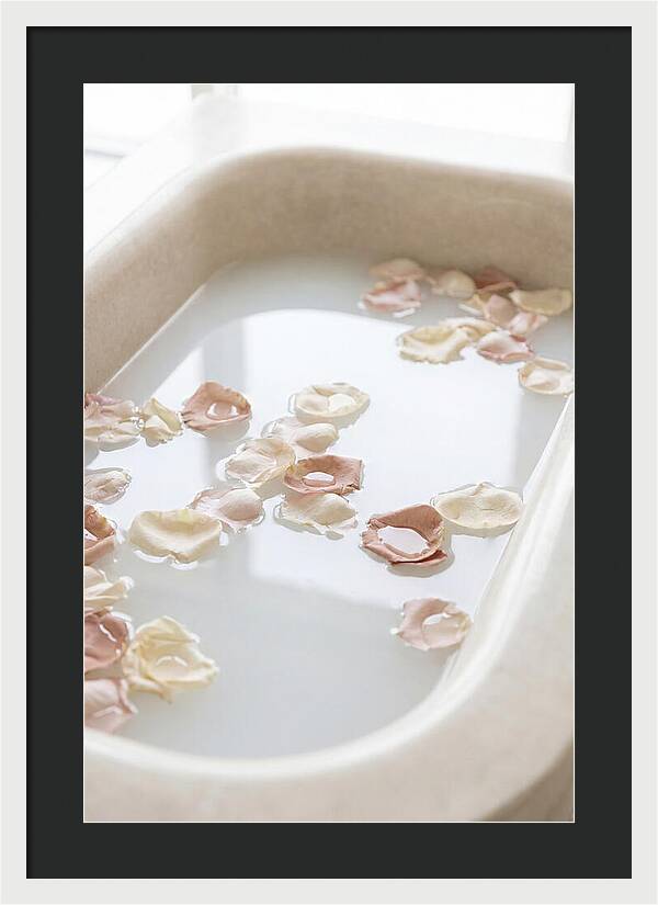 Rose Petals Floating In Serenity