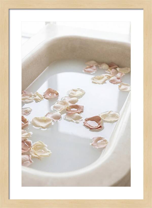 Rose Petals Floating In Serenity