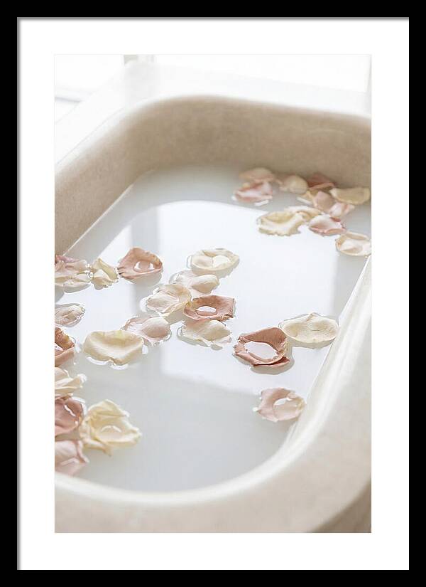 Rose Petals Floating In Serenity