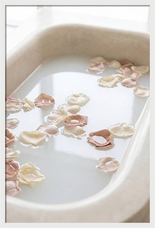 Rose Petals Floating In Serenity