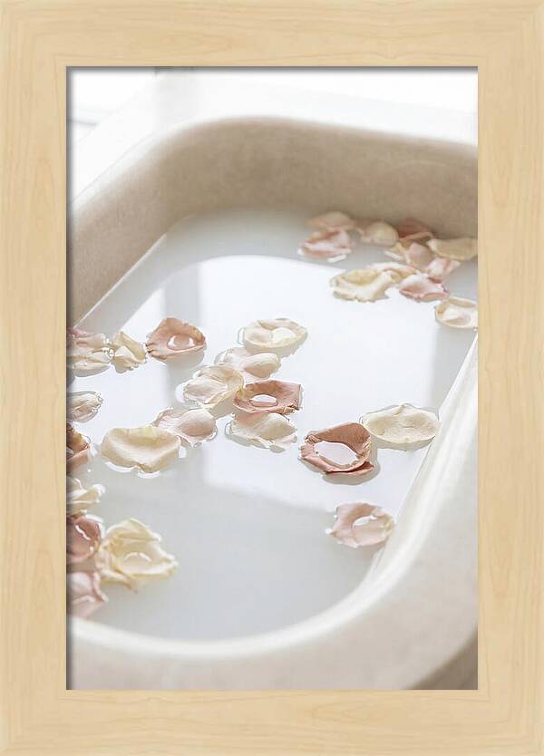 Rose Petals Floating In Serenity