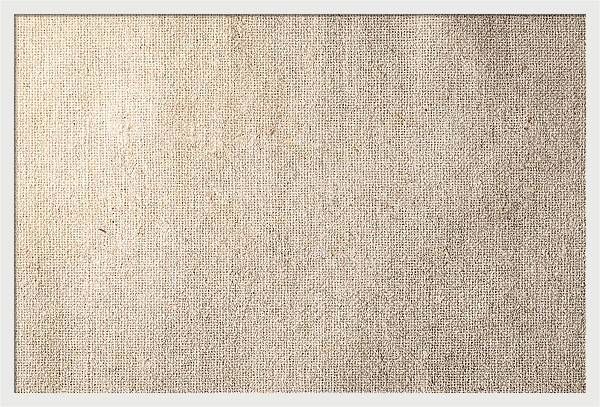 Rough Canvas Texture