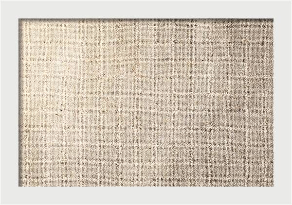 Rough Canvas Texture