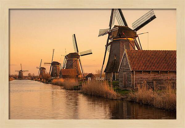 Row Of Windmills At Sunset