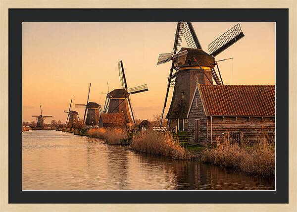 Row Of Windmills At Sunset